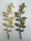 زامك روز التابوت الديكور المناسب الزنك السبائك زهرة الحجم 45cm × 13cm الذهب / البرونز العتيقة